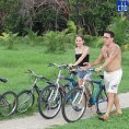 /album/camismo-los-cocos/bicis-jpg/